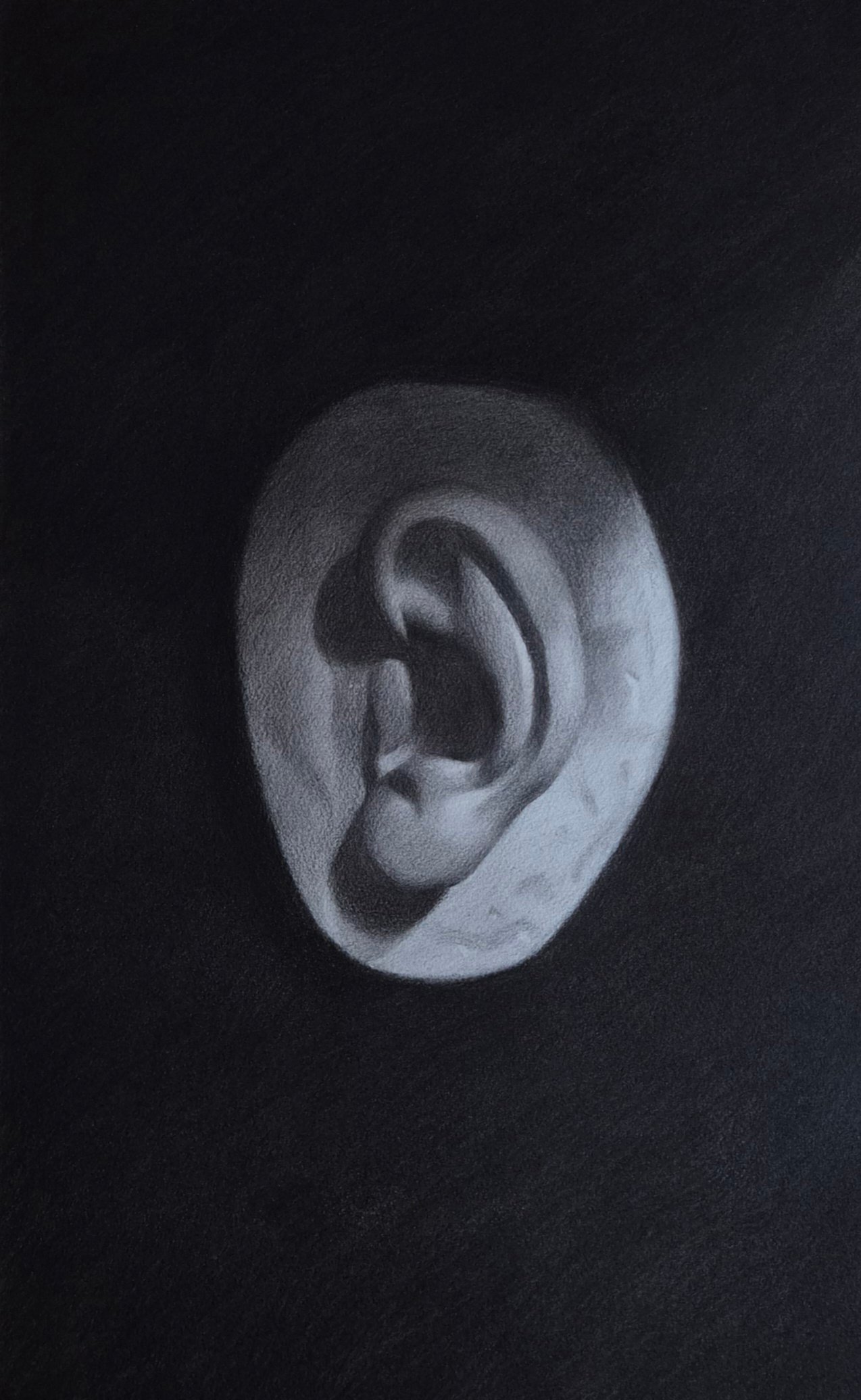 Ear